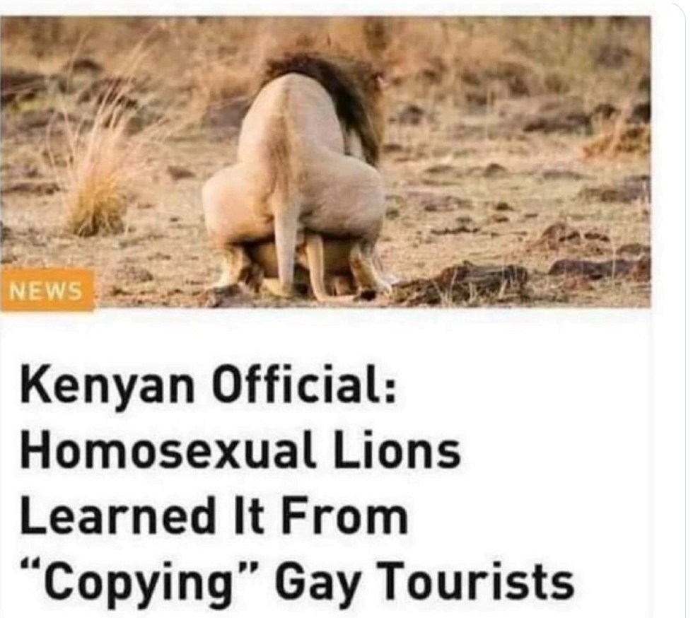 Kenyan Official: Homosexual Lions Learned It From "Copying" Gay Tourists