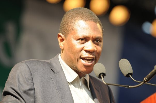 Paul Mashatile Net Worth: Political Leadership ,Financial Success and State Capture