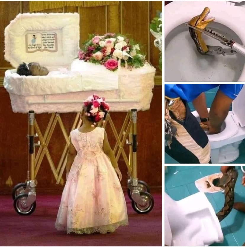 A Young Girl Said Goodbye To Her Twin Sister Who Snake Bit In The Toilet